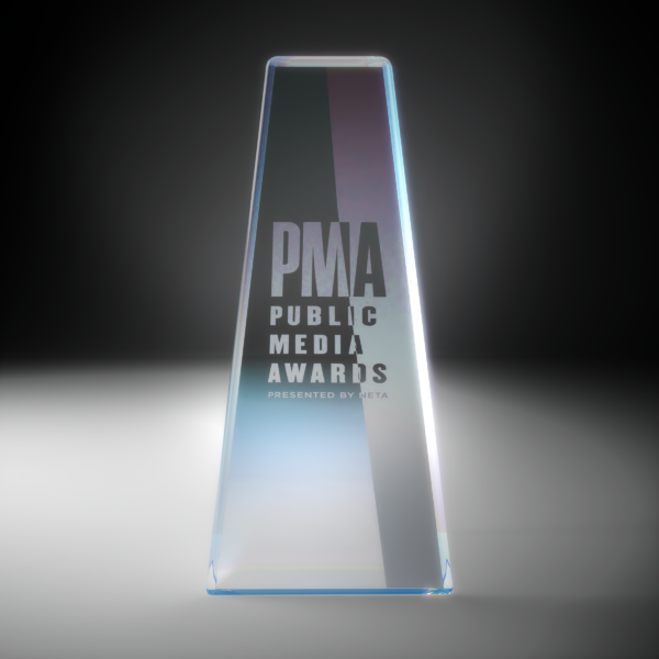 Public Media Awards trophy